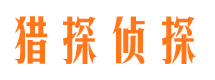 莱城市调查公司